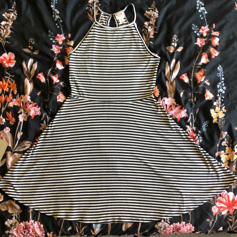 Striped Skater Dress